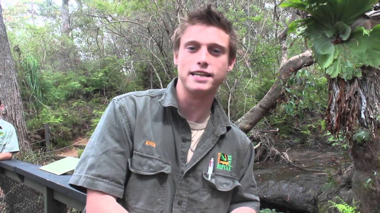 Kyle Rourke 2012 TTW Work Experience Kyle Rourke - YouTube