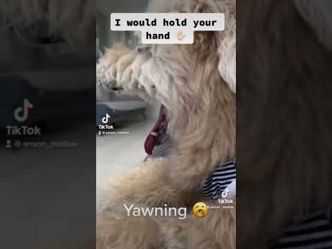 Video I would buy you flowers 💐🥺 - youtube