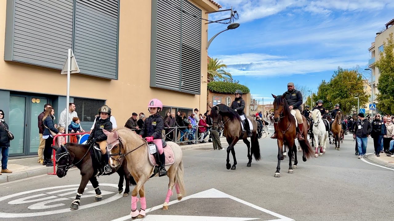 TRES TOMBS de SANT ANTONI 45a Edició - Carretera del Pla - Valls 2024 -  Episodi nº 1