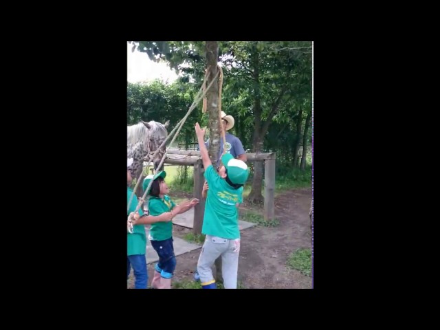 リードロープを使った木登り