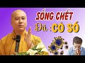 Sống Chết Đã Có Số, Nghiệp Đến Không Sao Tránh Khỏi Được ( Rất hay  ) _Thầy Thích Pháp Hòa