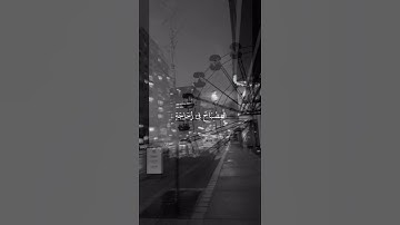 القرآن الكريم هو جنة، هو رفعة ، هو هداية، هو سبيل إسعاد ودربُ أمان. :
