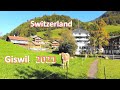 SWITZERLAND - GISWIL - Lungern - Interlaken - Grindelwald - Suiza