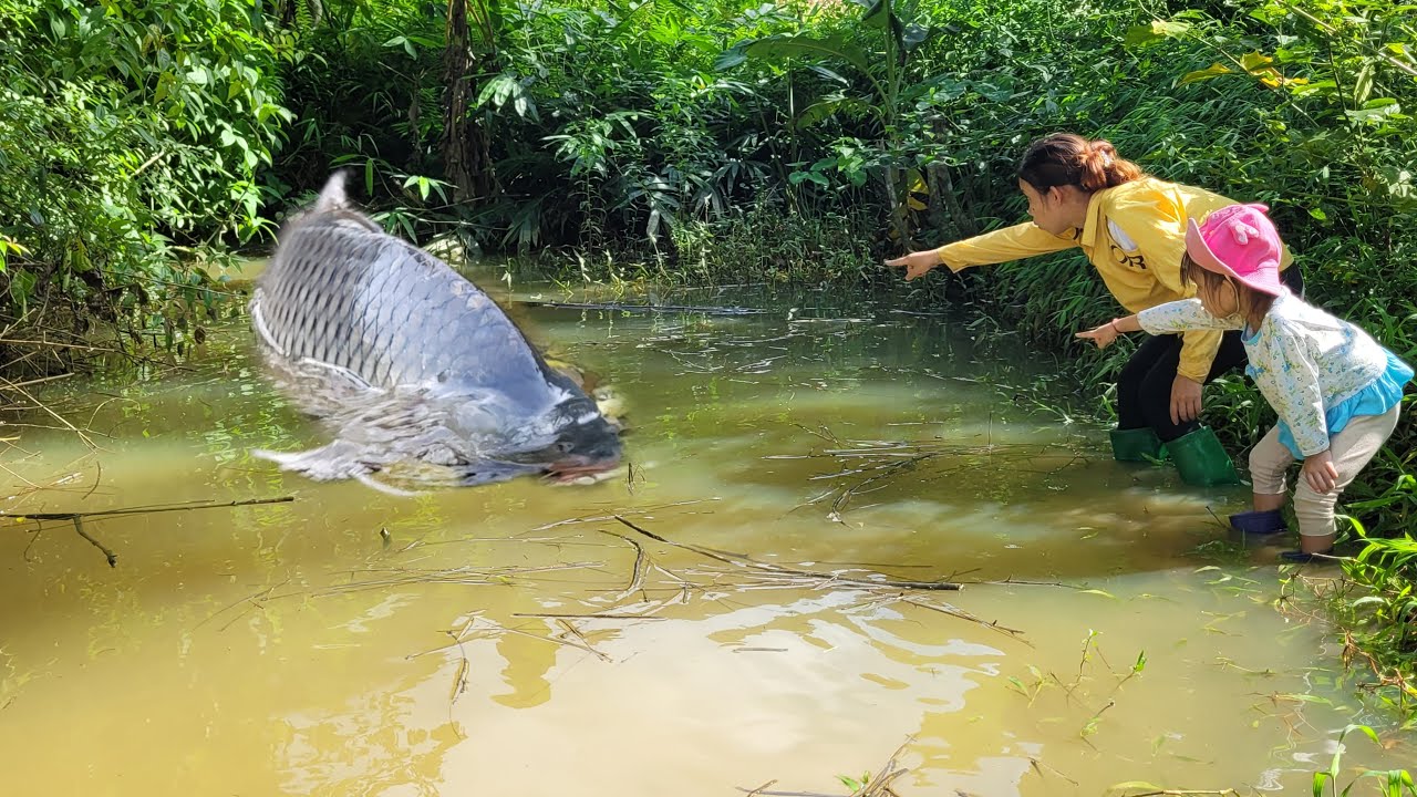 Discover puddle with many giant fish. The girl with her daughter ...