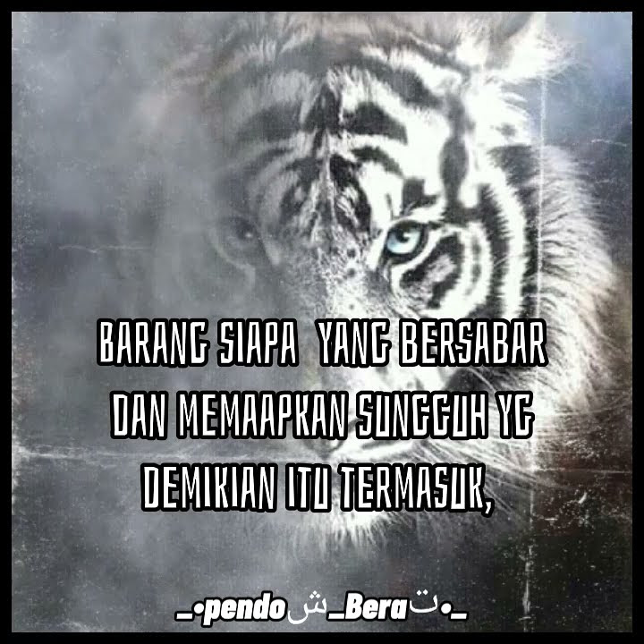 story WA macan putih tentang ke 'sabaran '