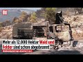 GRIECHENLAND: Waldbrände wüten kurz vor Athen! Flammeninferno nimmt kein Ende