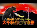 【大千軒岳ヒグマ事件】ヒグマを知らないすべての人が知るべきこと【すずしん工房コラム番外】