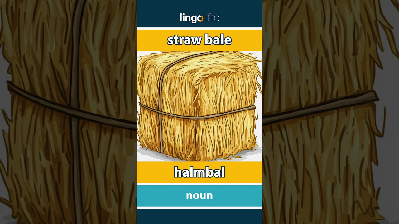 🇬🇧🇸🇪 straw bale - halmbal : learn English : låt oss lära oss engelska