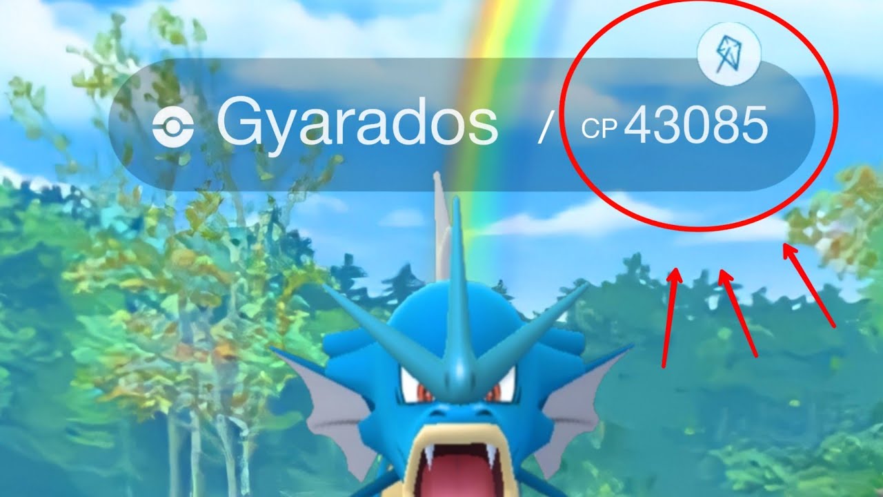 HIGHEST CP Gyarados Ever Caught In Pokemon Go YouTube highest-cp-gyarados-ever-caught-in-pokemon-go-youtube