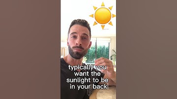 Why house orientation is important: The Sun! ☀️ #realestate #buyersagent #investing #sunlight