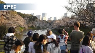 Japón recibió nuevamente en abril a más de 3 millones de turistas y encarrila récord anual