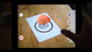 Cortical Brain - Augmented Reality App - Cortical Studios