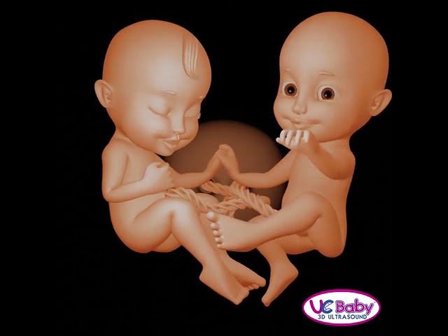 UC BABY 3D Ultrasound Mascot Lucy and Lucas  - Intro Video