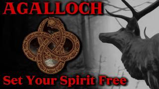 Agalloch: The Band That Sets Your Spirit Free