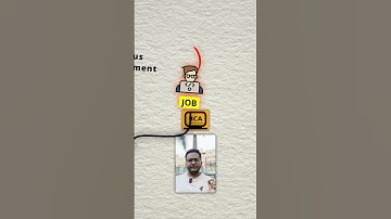 Career Options after BCA | Job after BCA | BCA Student Jobs