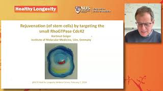 Rejuvenation of stem cells by targeting RhoGTPase Cdc42