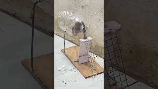 Best mouse trap idea/good rat trap plastic bottle mouse mousetrap rattrap rat