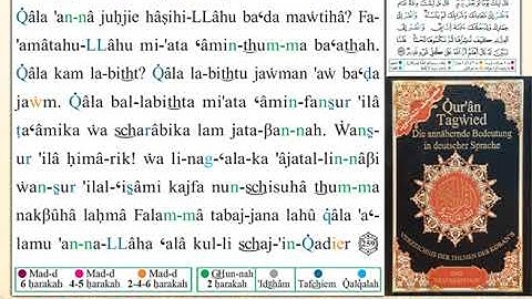 ختمة من مصحف التجويد باللغة الألمانية الصفحة رقم 43