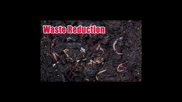 #shorts Improve Soil Fertility With Vermicompost #diy #sustainableliving #selfsufficient #garden