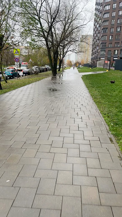 Транни порно