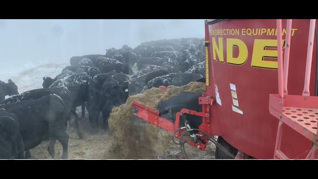 Vertical Mixer Grinding a Bale...Eventually  :)
