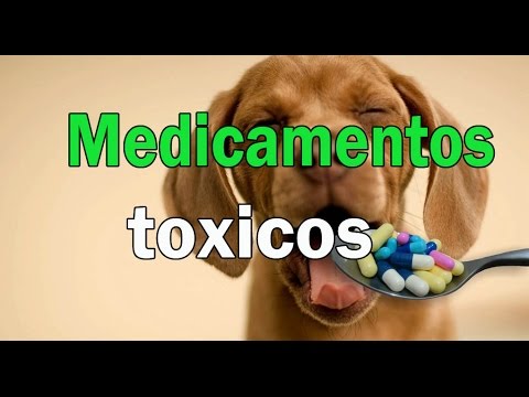 Video: Mezclas Peligrosas De Medicamentos Para Mascotas Que Se Deben Evitar