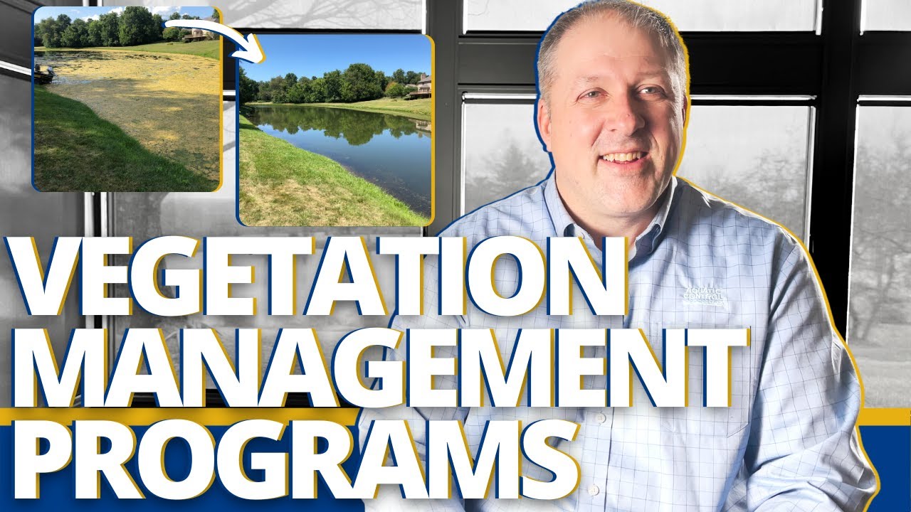 How To Clean Up Your Lake Or Pond - A Professional Pond & Lake Management Service