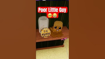 Poor Little Guy... 💀😂