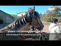 Бендеры с третьей попытки отметили день города