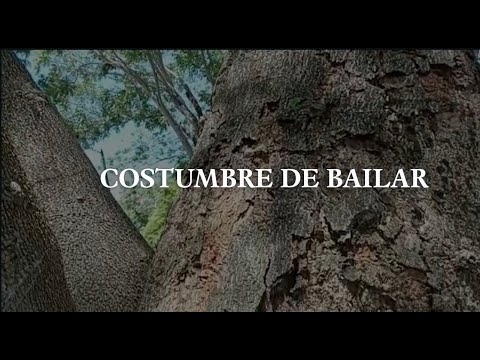 Costumbre de bailar/ Nadia Ross y Lila Zellet-elías @LilaZelletElias129