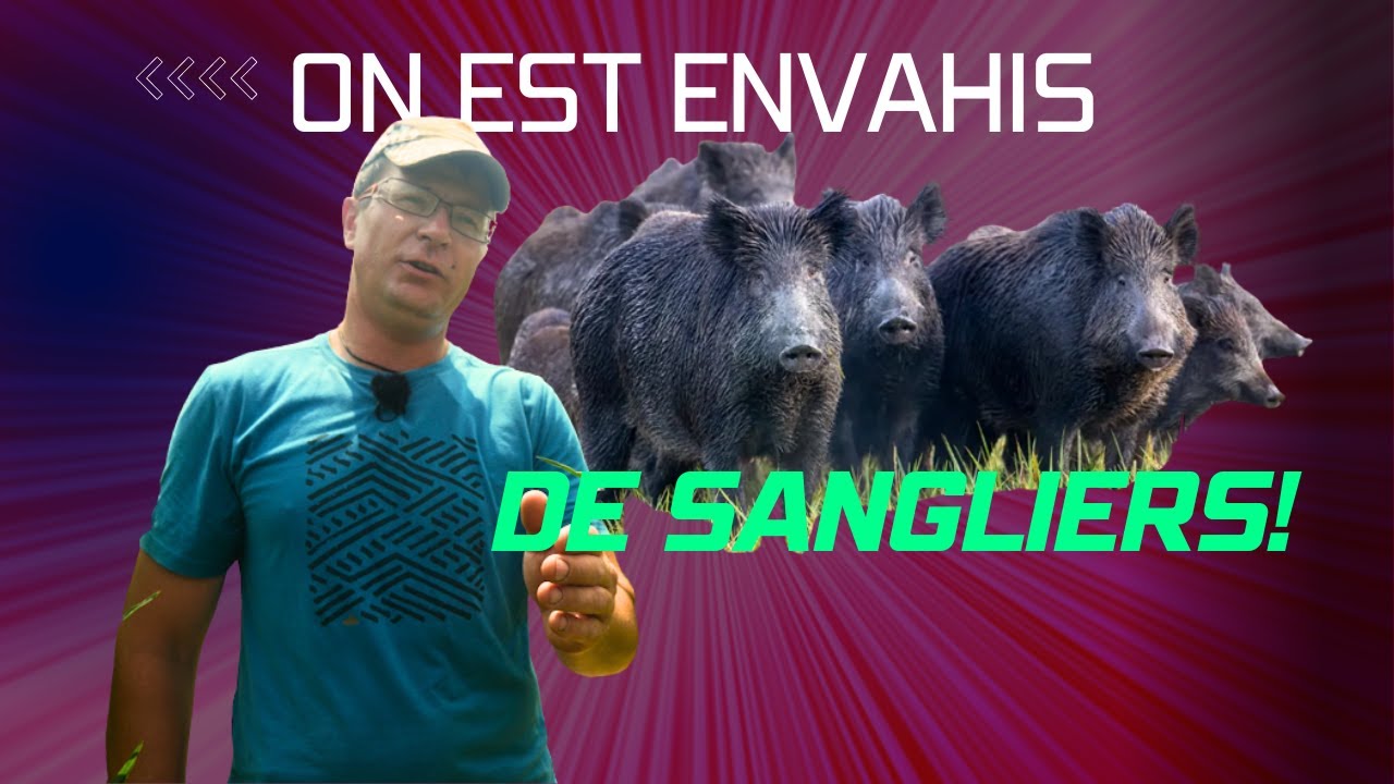 Des preuves pour se faire entendre