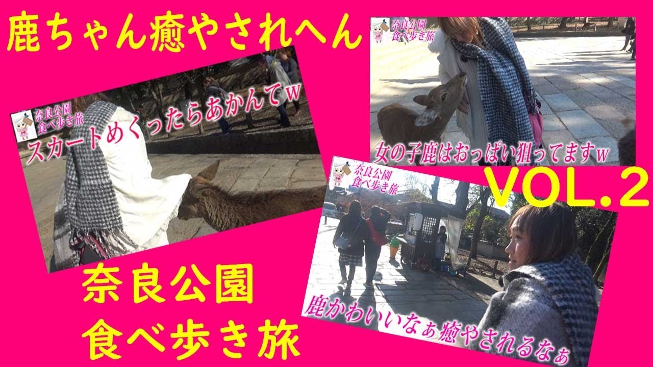 奈良公園食べ歩き旅 Vol 2鹿ちゃんに癒やされ編 Youtube 奈良公園食べ歩き旅 Vol 2鹿ちゃんに癒やされ編 Youtube