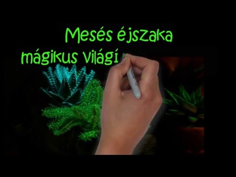 Videó: Kamilla Virágok - Használati Utasítás, ár, Vélemények, Analógok