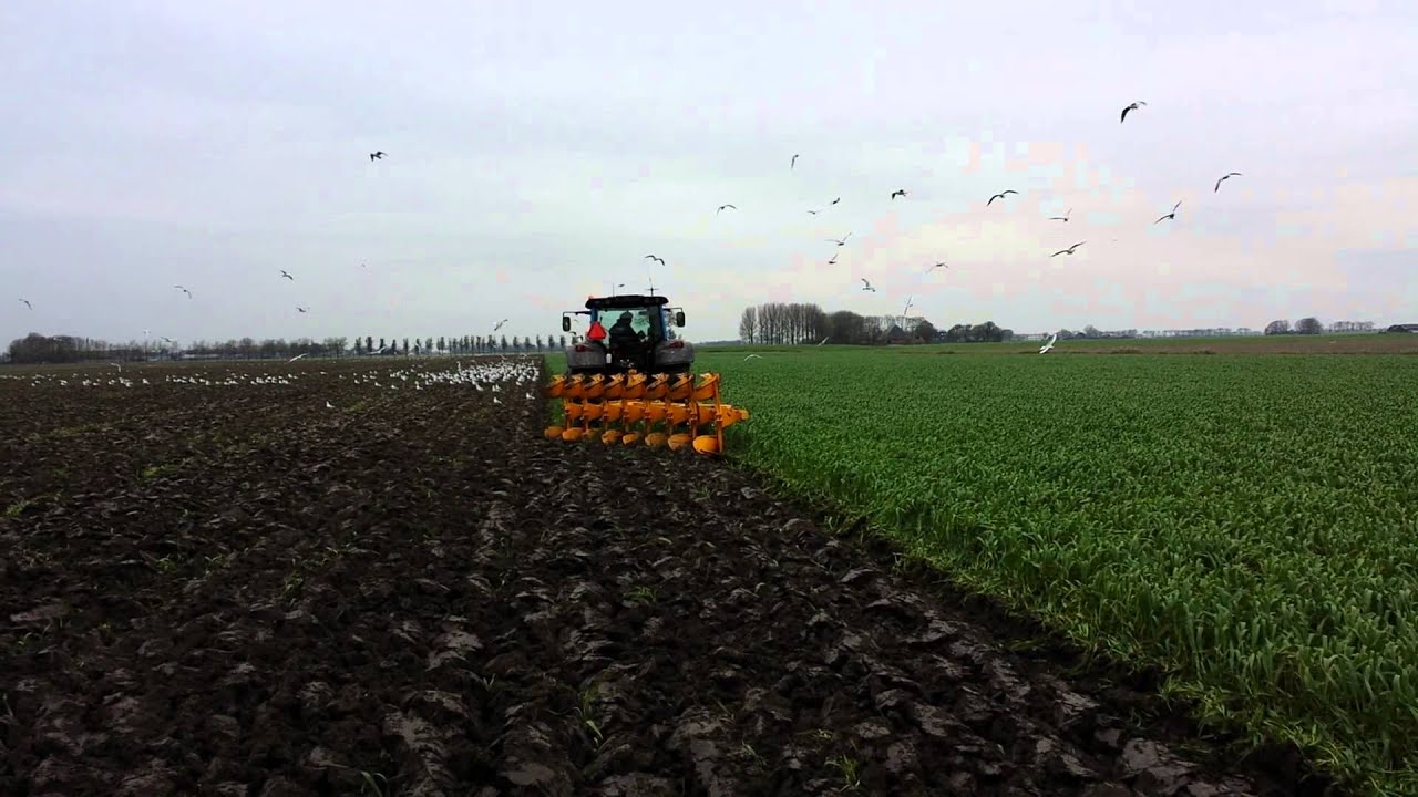 ecoploeg rumptstad Timpelsteed