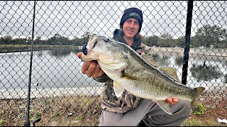 Pulling HUGE Bass OVER a Fence in TOXIC Florida Pond  (Crazy Trespassing Fishing Day)