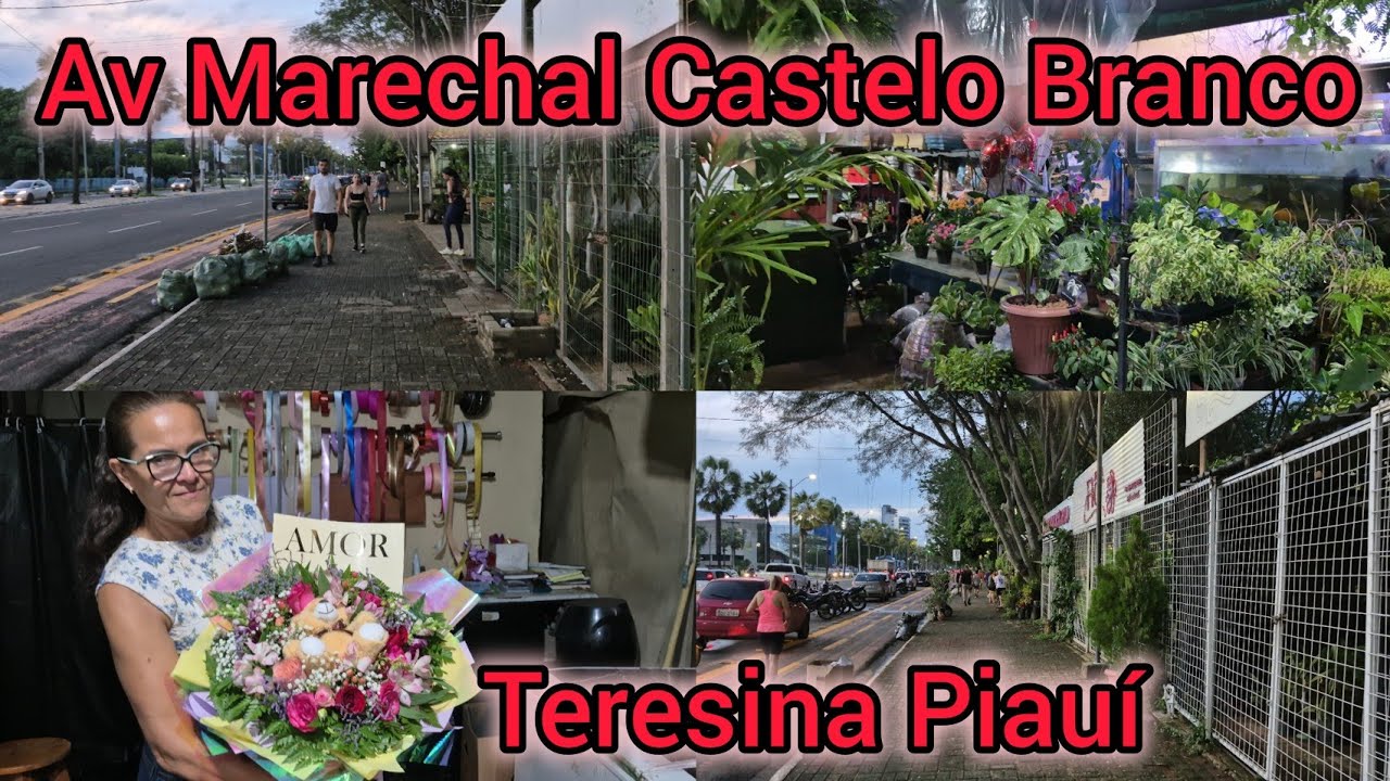 Av Marechal Castelo Branco, floriculturas e etc...Teresina Piauí 