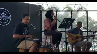 Cajon Traveler Cajon Mini Akustik Dan Akustik Elektrik Siap Manggung