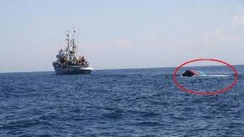 Tàu cá Quảng Ngãi bị tàu “lạ” tấn công, đâm chìm trên biển