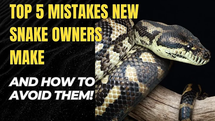 Top 5 Mistakes New Owners Make and How to Avoid Them!