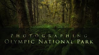 Photographing Olympic National Park.  Photographing Less of the Mess