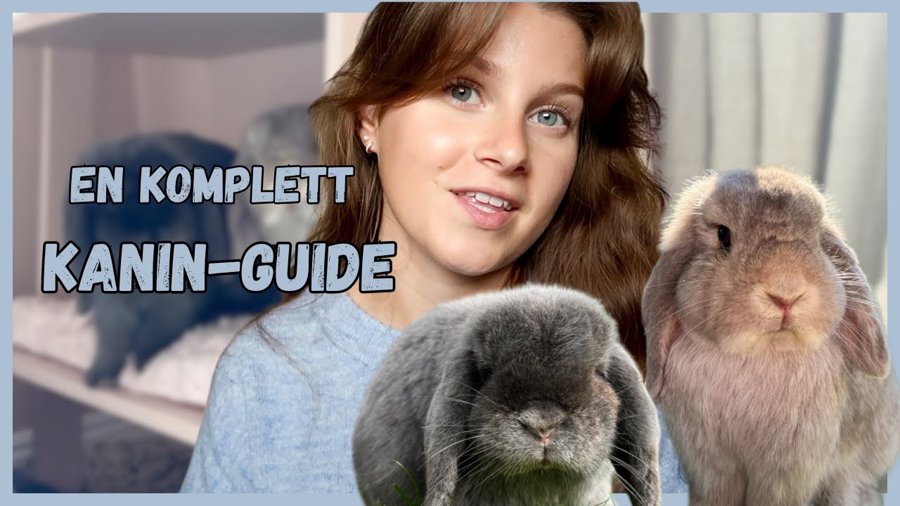 Skaffa kanin? En guide på allt du behöver veta | frigående kanin