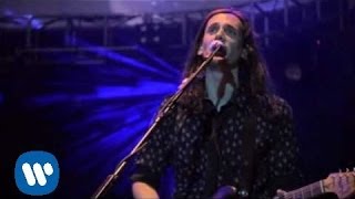 Todo lo demas (2 son multitud)