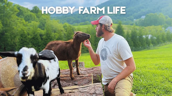 Daily Life on Our Hobby Farm | Chickens, Garden, & More!