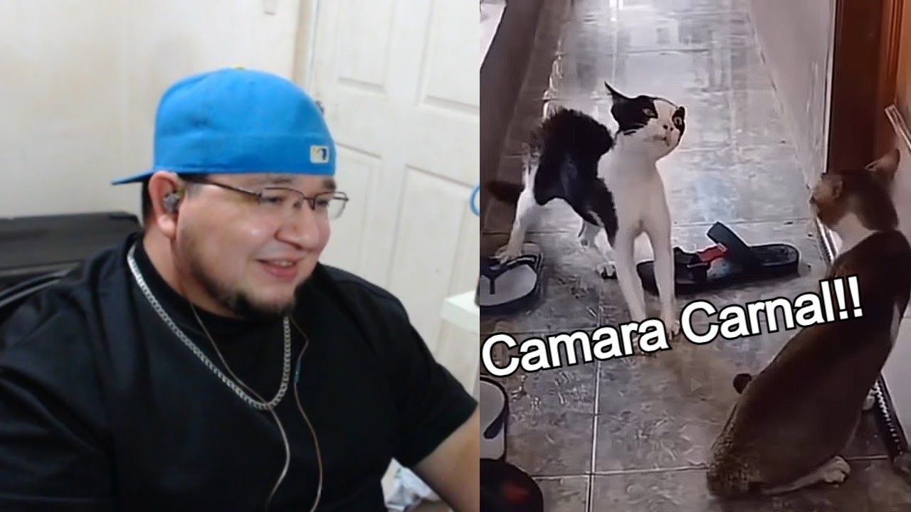 Camara Carnal que le corres? | Clipsillos Graciosillos 