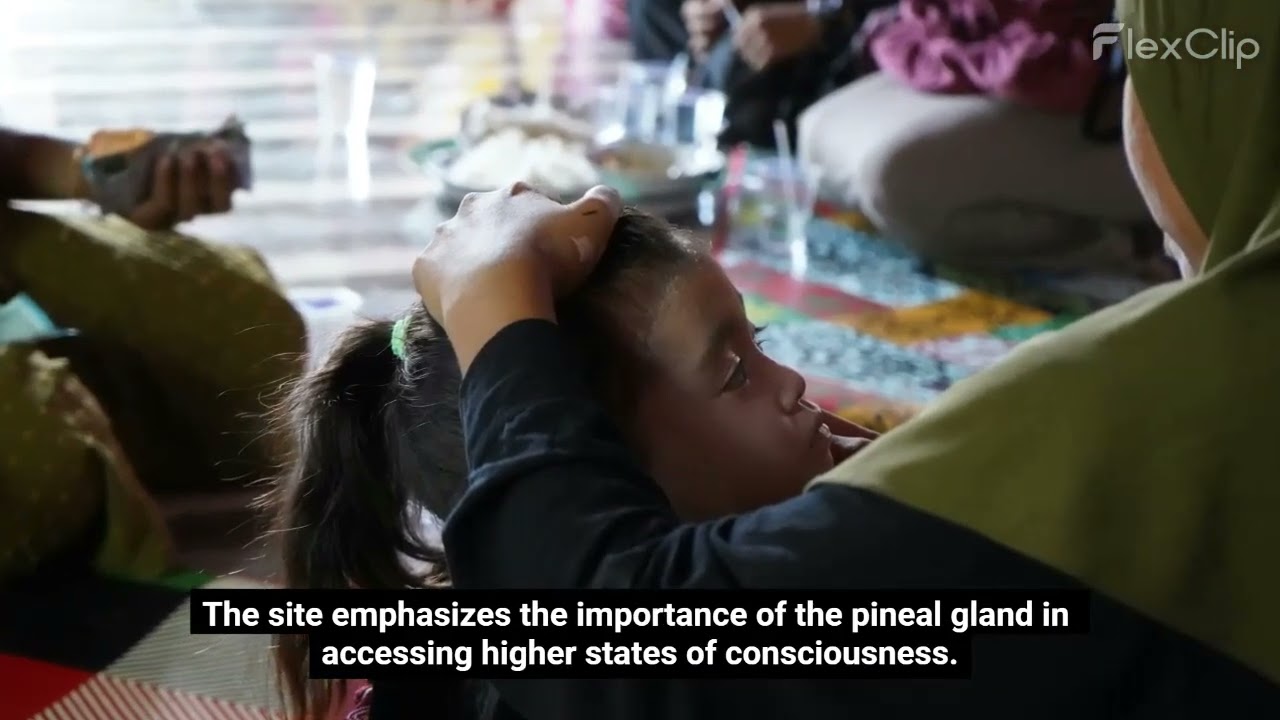 The Pineal Guardian Review – Designed to help support memory function