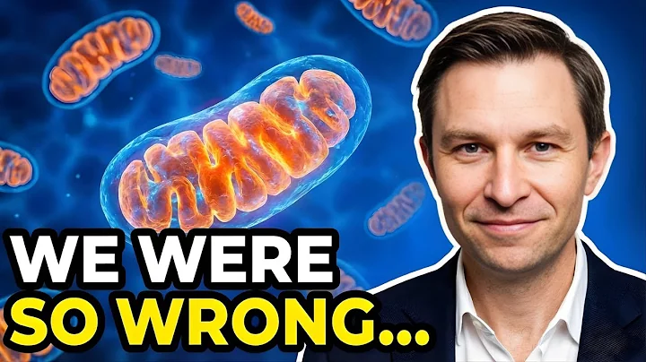 4 Foods To Make New Mitochondria (Scientific Proof) | Dr. David Sinclair