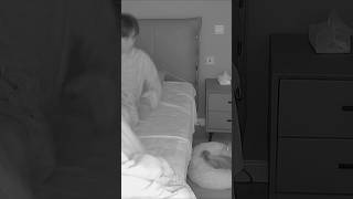 暗闇の中で猫を踏んでしまった飼い主