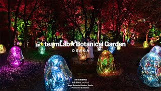 ボタニカルラボページ Official] teamLab Botanical Garden Osaka | teamLab Night