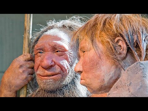 Женщины Homo sapiens нередко вступали в интимную связь с мужчинами-неандертальцами, считают ученые