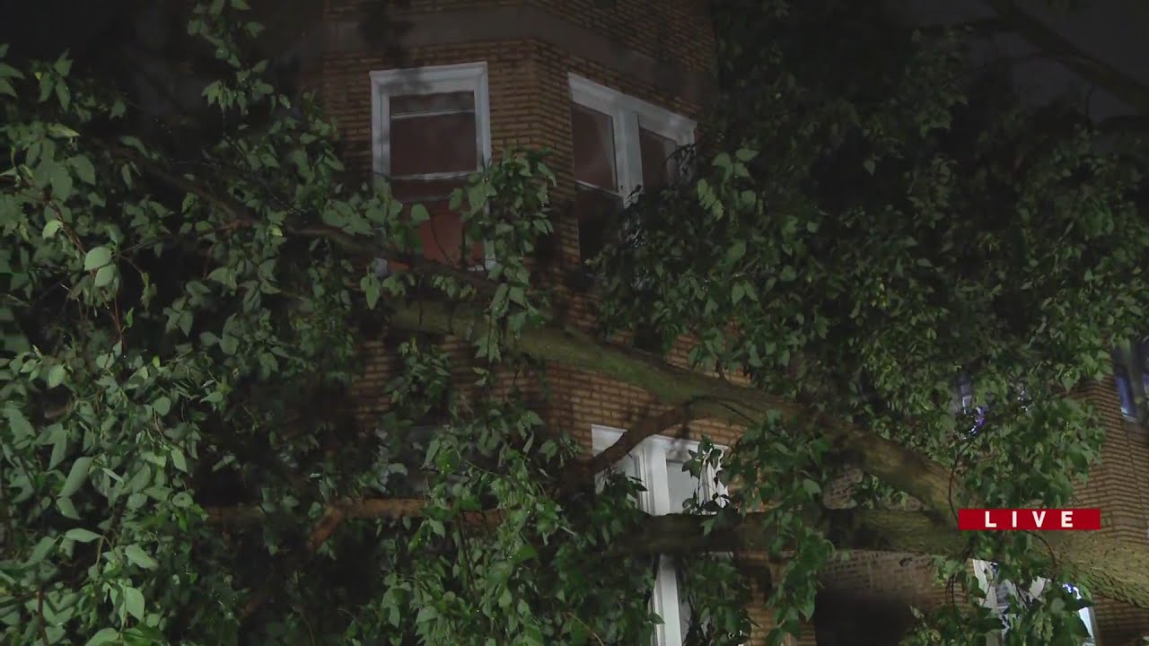 Storm damage in Chicago following severe thunderstorms